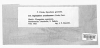 Image Associated With the Occurence